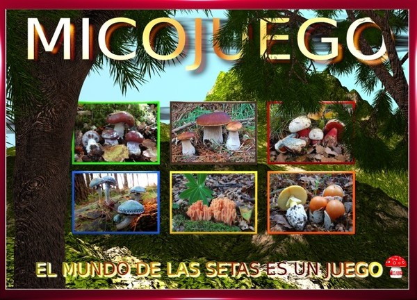 Micojuego