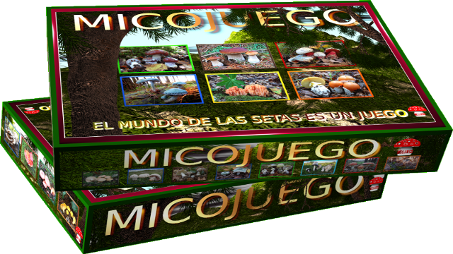 Micojuego