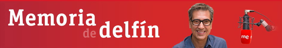 Memoria de delfín