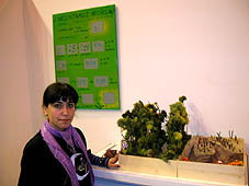 El Juego de la Deforestación