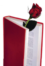 D&iacute;a del Libro 2010