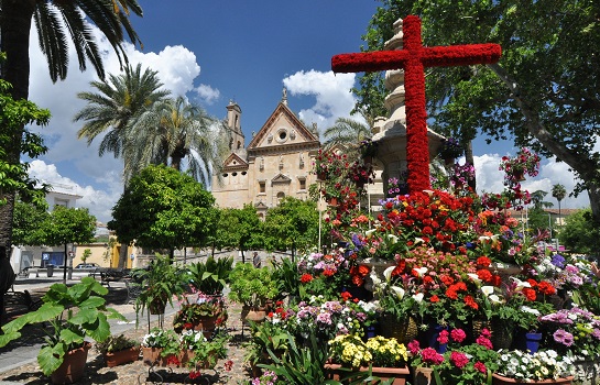 Cruces de Mayo