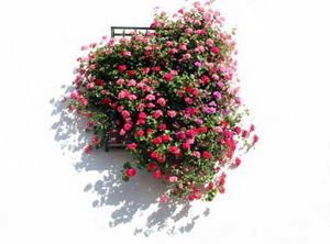 No se puede mostrar la imagen “http://www.jugamostodos.org/images/stories/NoticiasJugamosTodos/2008/mayo%202008%20-%20rejasybalcones%20-%2001.jpg” porque contiene errores.