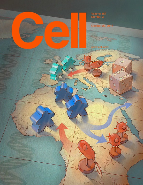 Cell