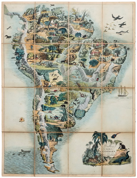 The Liman Collection
