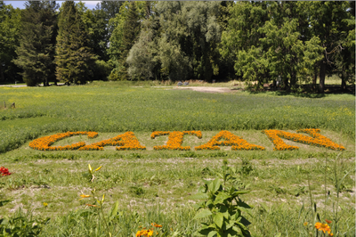 CATAN Mainau