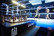 Ajedez-Boxeo