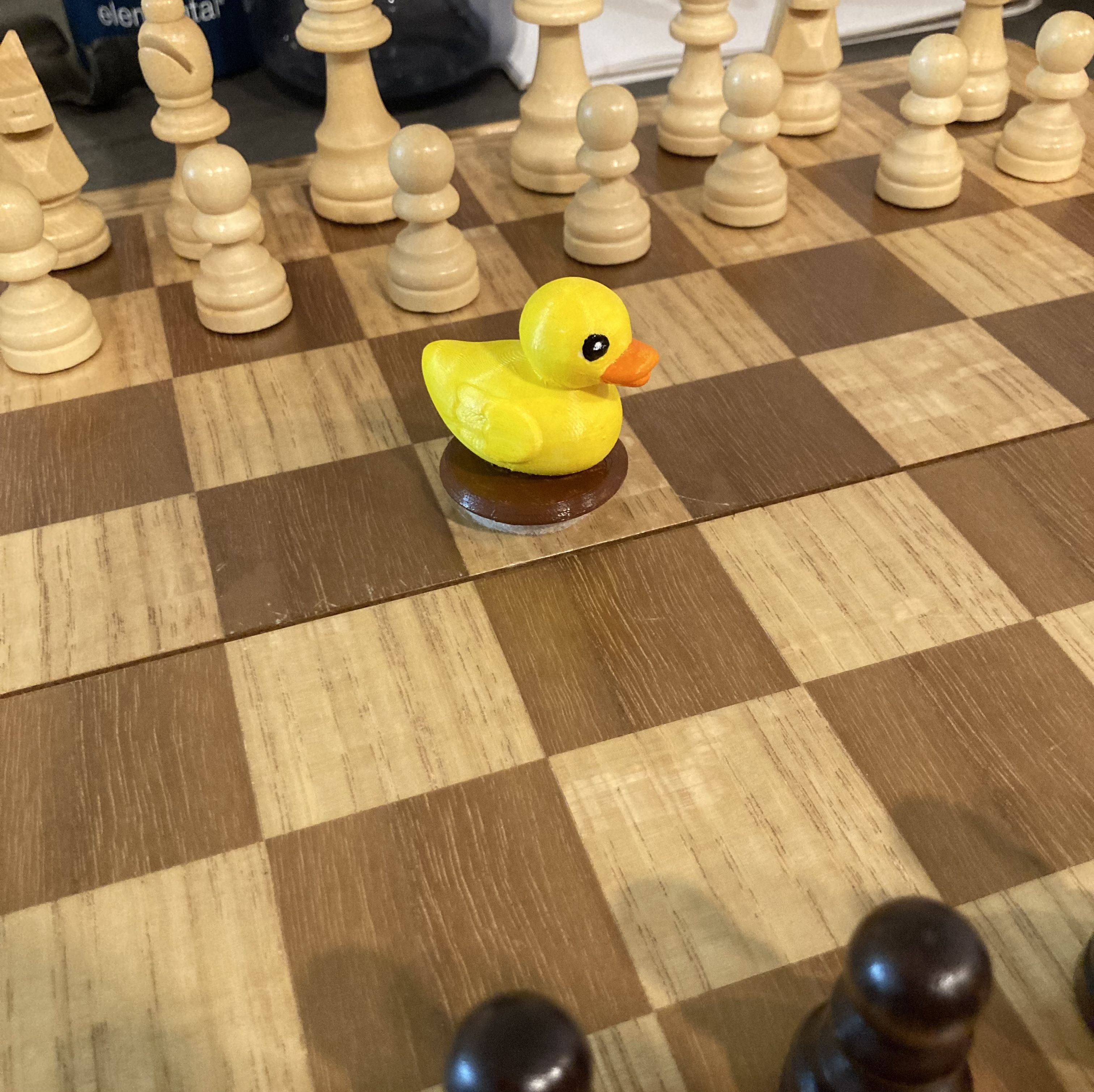 Duck Chess